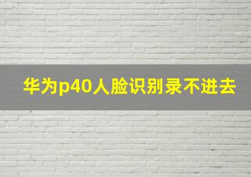 华为p40人脸识别录不进去