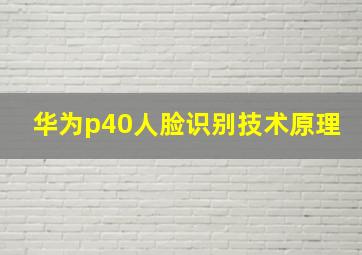 华为p40人脸识别技术原理