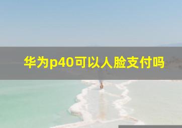 华为p40可以人脸支付吗