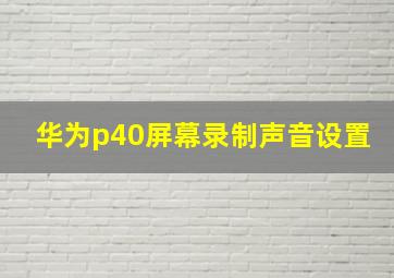 华为p40屏幕录制声音设置