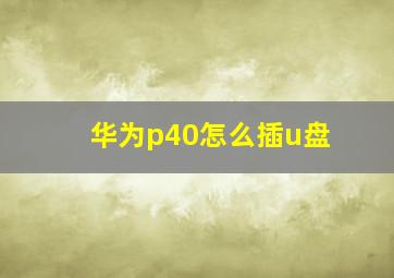 华为p40怎么插u盘