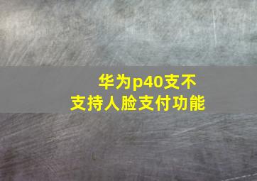 华为p40支不支持人脸支付功能