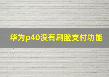 华为p40没有刷脸支付功能