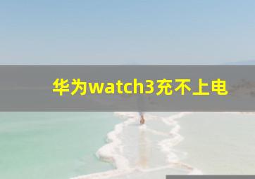 华为watch3充不上电