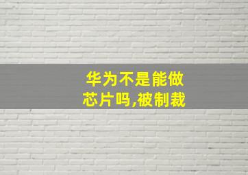 华为不是能做芯片吗,被制裁