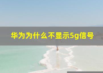 华为为什么不显示5g信号