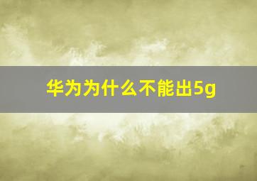 华为为什么不能出5g