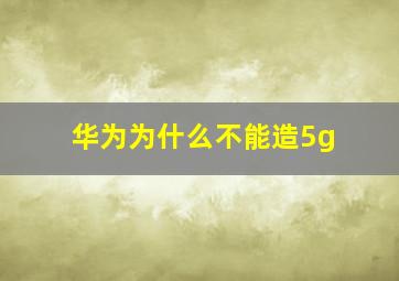 华为为什么不能造5g