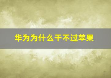 华为为什么干不过苹果