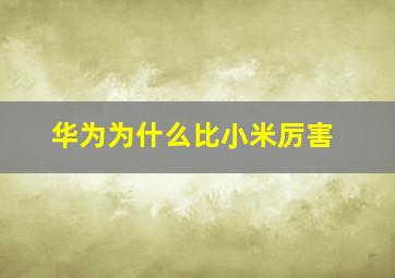 华为为什么比小米厉害