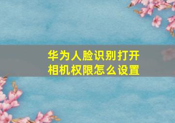 华为人脸识别打开相机权限怎么设置