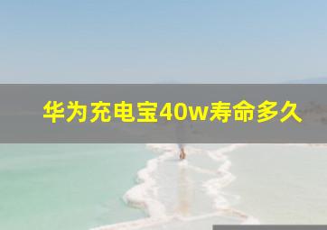 华为充电宝40w寿命多久