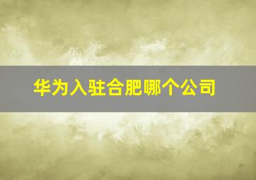 华为入驻合肥哪个公司