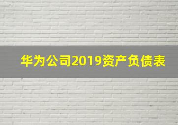 华为公司2019资产负债表