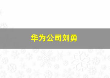 华为公司刘勇