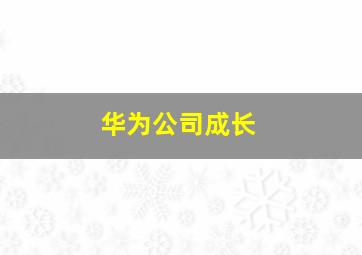 华为公司成长