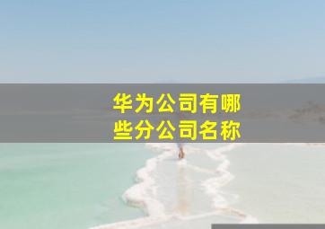 华为公司有哪些分公司名称