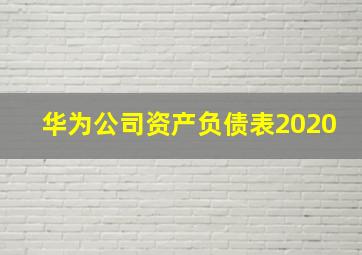 华为公司资产负债表2020