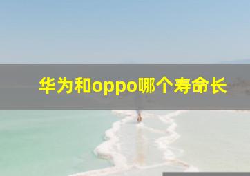 华为和oppo哪个寿命长