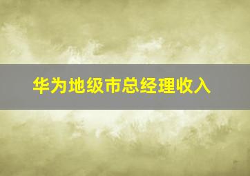 华为地级市总经理收入