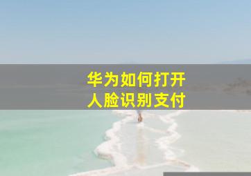 华为如何打开人脸识别支付