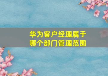 华为客户经理属于哪个部门管理范围