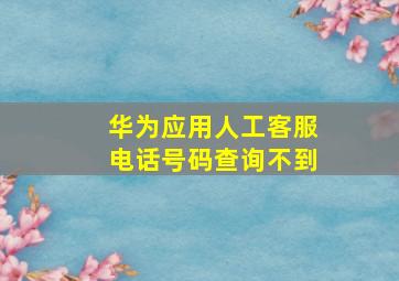 华为应用人工客服电话号码查询不到