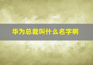 华为总裁叫什么名字啊