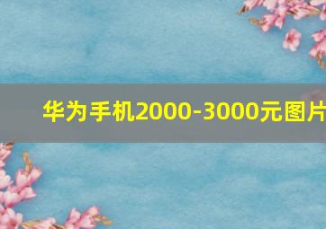 华为手机2000-3000元图片