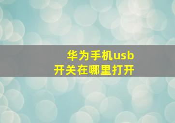 华为手机usb开关在哪里打开