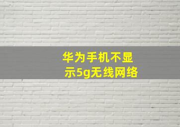 华为手机不显示5g无线网络