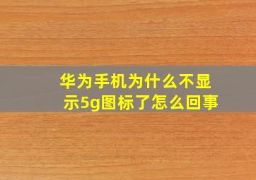 华为手机为什么不显示5g图标了怎么回事