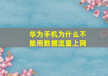 华为手机为什么不能用数据流量上网