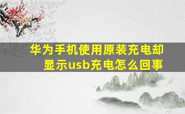 华为手机使用原装充电却显示usb充电怎么回事