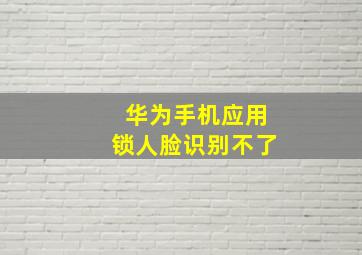 华为手机应用锁人脸识别不了