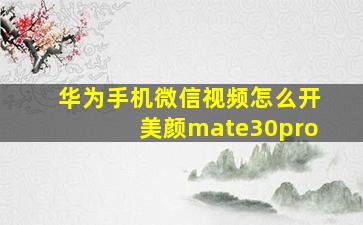 华为手机微信视频怎么开美颜mate30pro