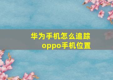 华为手机怎么追踪oppo手机位置