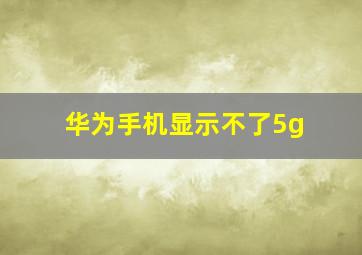 华为手机显示不了5g