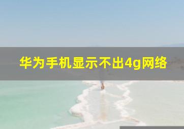 华为手机显示不出4g网络