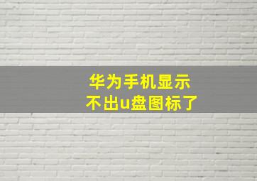 华为手机显示不出u盘图标了