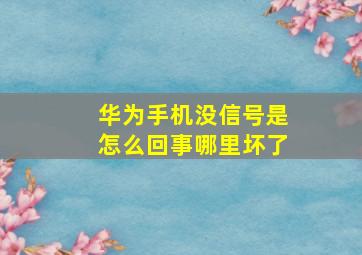 华为手机没信号是怎么回事哪里坏了