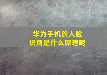 华为手机的人脸识别是什么原理呢