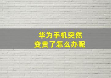 华为手机突然变贵了怎么办呢