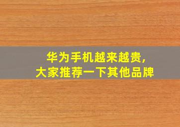 华为手机越来越贵,大家推荐一下其他品牌