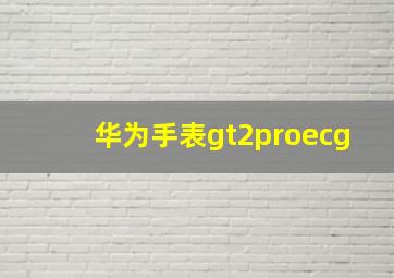 华为手表gt2proecg