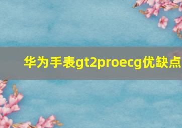 华为手表gt2proecg优缺点