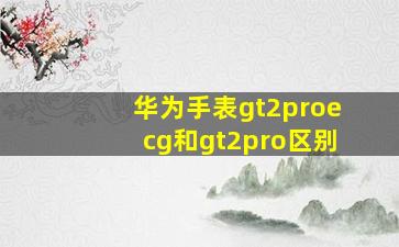 华为手表gt2proecg和gt2pro区别