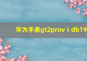 华为手表gt2provⅰdb19