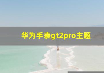 华为手表gt2pro主题