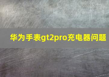 华为手表gt2pro充电器问题